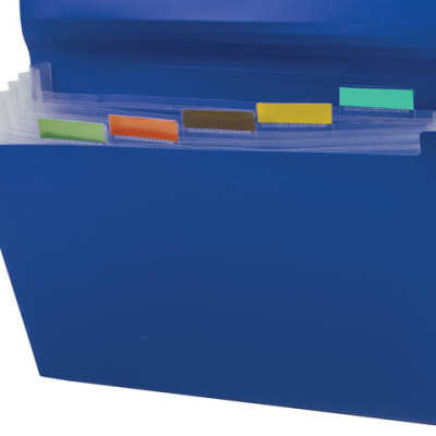 Папка на резинках "Business", А4, 6 отделений, синяя, BRAUBERG - 264 руб. в alfabook